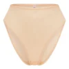 Soft Mesh High Waisted Knicker In Beige