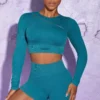 Long Sleeve High Neck Zip Crop Top In Teal