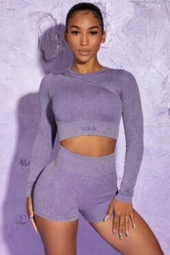 Long Sleeve High Neck Zip Crop Top In Violet