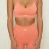 Stretch Seamless Scoop Neck Sports Bra In Terracotta