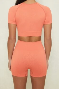 Seamless High Waisted Shorts In Terracotta