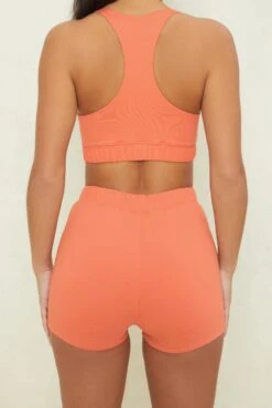 High Waisted Mini Shorts In Terracotta