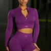 Long Sleeve Crop Top In Dark Purple